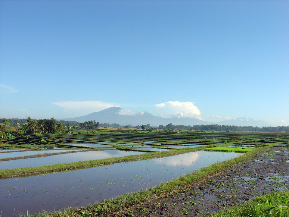 Wonderfully beautiful landscape on a Bali morning