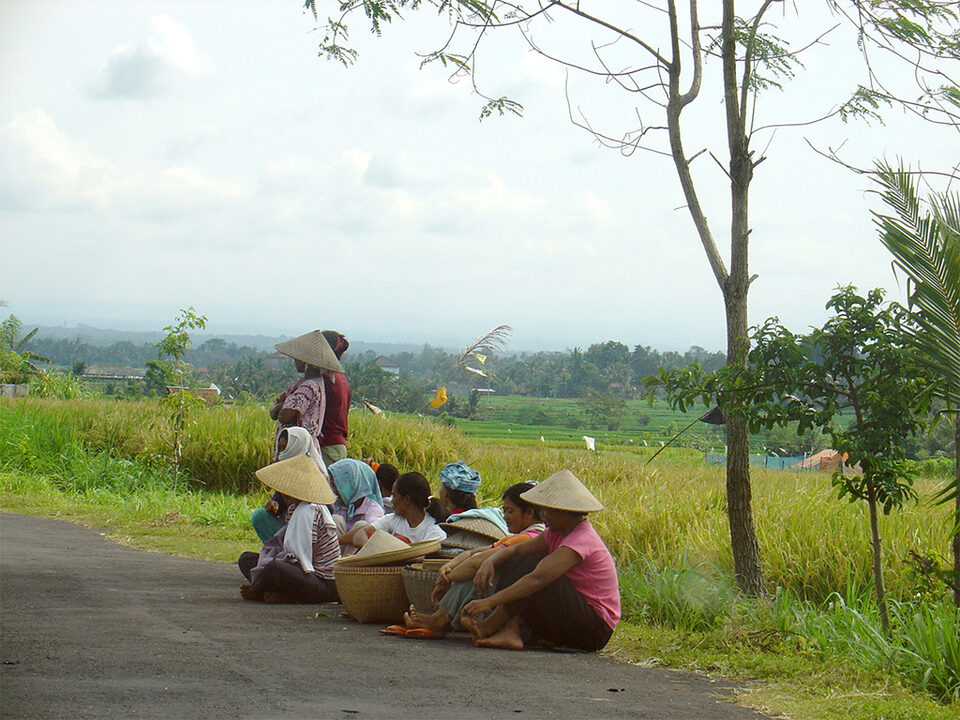 Rice workers in Bali waiting by the roadside