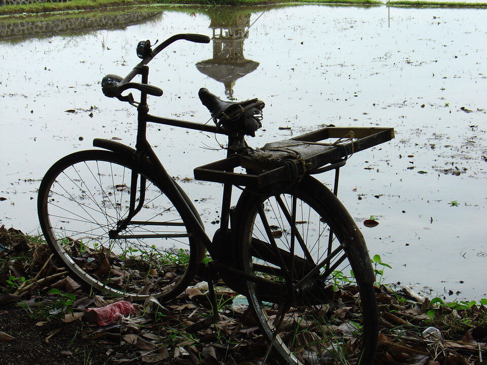 Altes Fahrad at Reisfeldrand in Bali