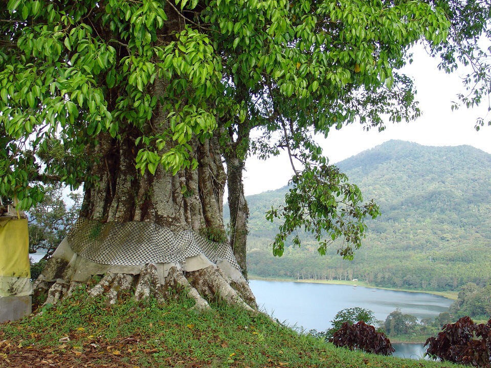 Buyan-See near Bedugul