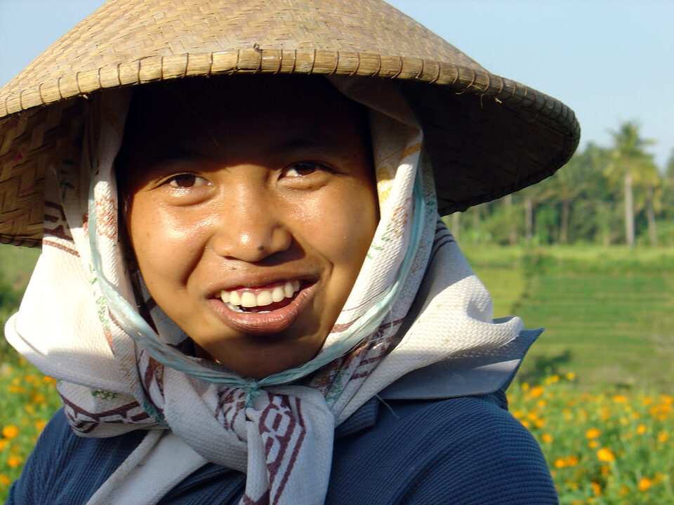 Reisfeldarbeiterin in Bali