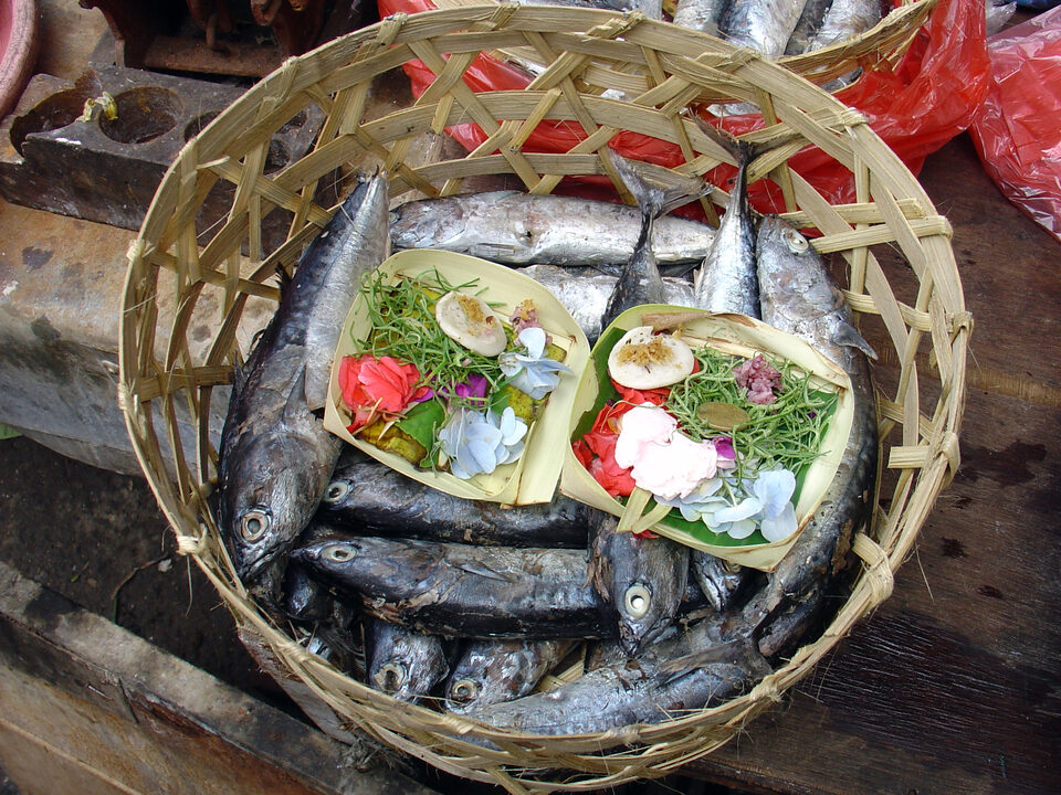 offerings auf vorgekochten Sprottenfisch