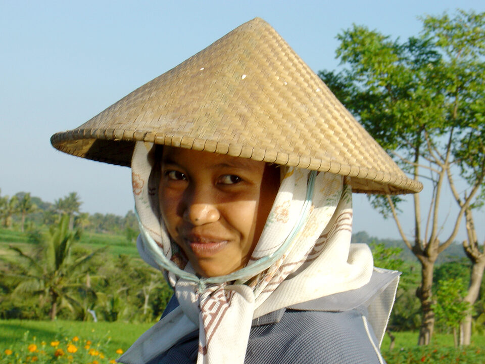 Reisfeldarbeiterin in Bali
